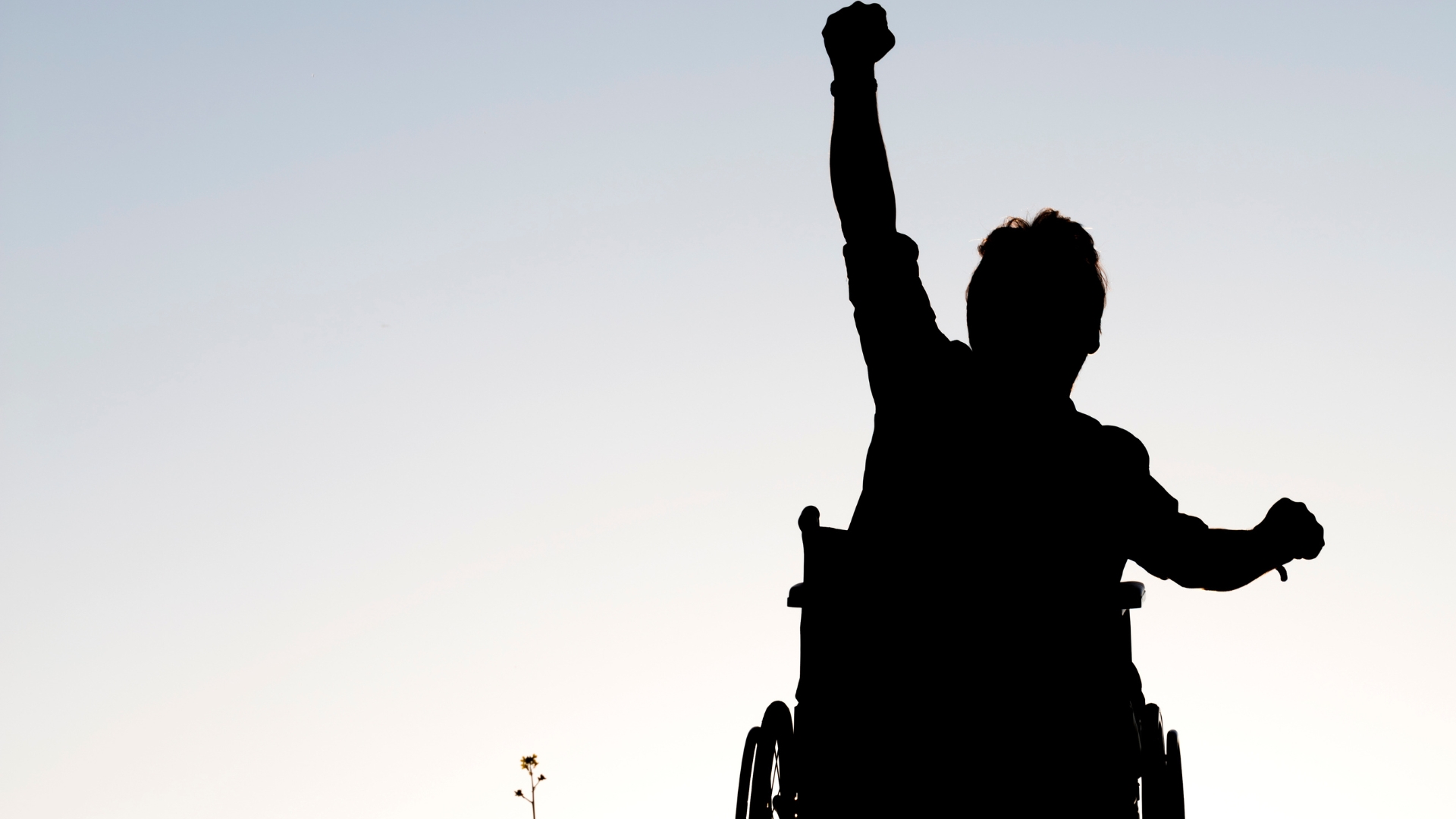 Dona il 5x1000 a Handy Superabile: rendi il mondo accessibile a tutti - Handy Superabile